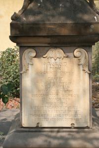 click to view detail