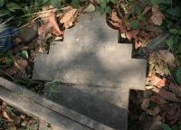 click to view detail