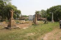 click to view detail