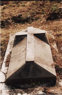 click to view detail