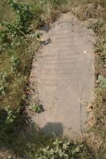 click to view detail