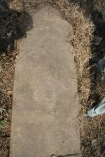 click to view detail