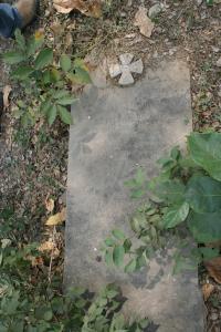 click to view detail