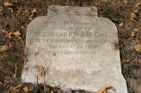 click to view detail