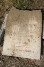 click to view detail