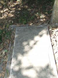 click to view detail