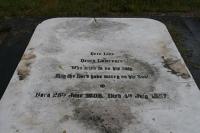 click to view detail