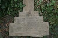 click to view detail