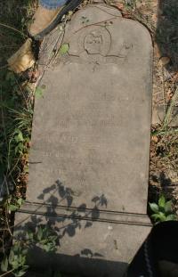 click to view detail