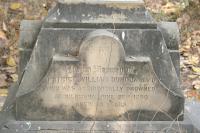 click to view detail