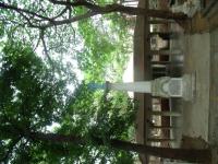 click to view detail