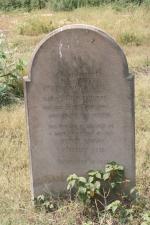 click to view detail