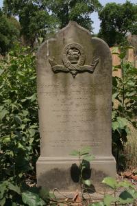 click to view detail