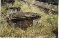 Gravestone of T. Rippon
