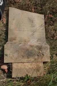 click to view detail