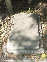 click to view detail