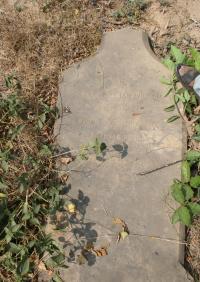 click to view detail