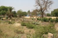 click to view detail