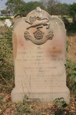 click to view detail