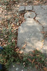 click to view detail